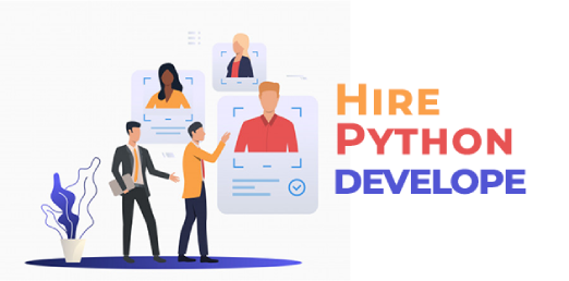Python software development